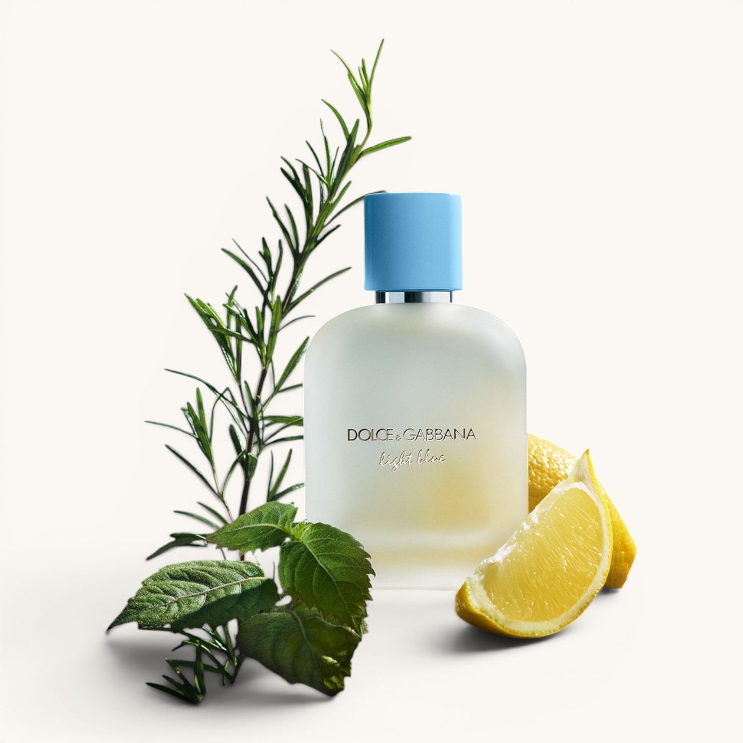 Dolce & Gabban Light Blue Pour Homme Eau de Toilette Erkek Parfümü 125 ML